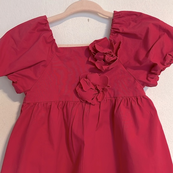 Zara 3D Floral Dress Size:9-12 months| color: Hot Pink - Picture 4 of 8